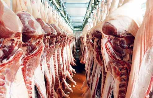V tomto čtvrtletí došlo k mírnému meziročnímu zvýšení výroby drůbežího masa na 39 685 tun (+1,1 %). STAVY SKOTU, PRASAT A DRŮBEŽE Na začátku 1. čtvrtletí bylo v České republice chováno 1365,2 tis.