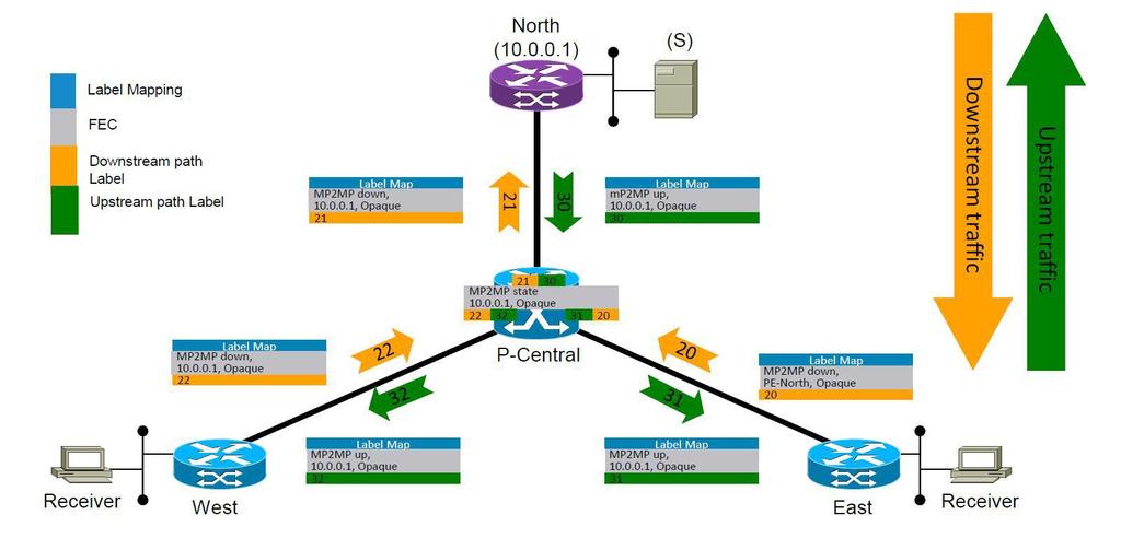 Cesta typu multipoint-to-multipoint je obousměrná a rozlišujeme tady tzv. Downstream Path a Upstream Path.