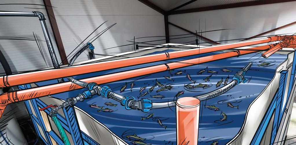 5. KONTROLY Předmětem kontrol je ověření, že produkty/výrobky a služby byly dodány a výdaje, které příjemce vykázal, byly skutečně uhrazeny.