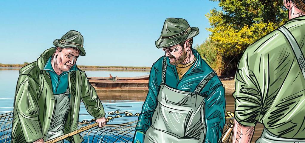 1. PORTÁL FARMÁŘE Jedná se o informační portál (dostupný prostřednictvím www.szif.