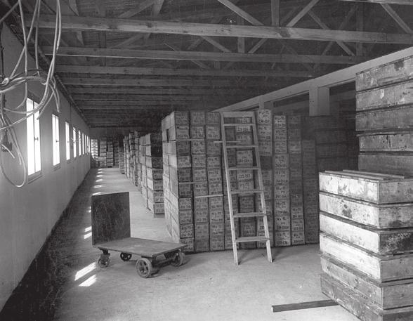 mezinárodní geologický kongres v srpnu 1968 se sjelo 3 200 geologů z 91 zemí a na 700 doprovázejících osob z celého světa. Zasedání však trvalo jen pět dnů po vpádu vojsk zemí Varšavské smlouvy 21.