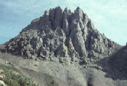 Proterozoic-Cambrian Carbonates
