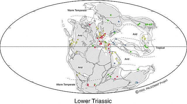 Early Triassic Climate The interior of Pangea was hot and dry during the Triassic. Warm Temperate climates extended to the Poles. This may have been one of the hottest times in Earth history.