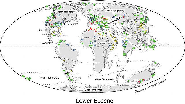 Early Eocene Climate During the Early Eocene alligators swam in swamps near the North