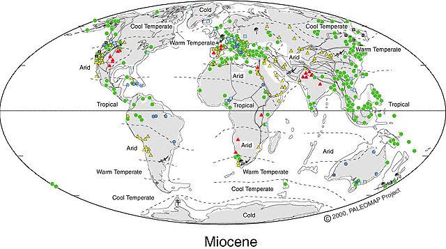 Miocene Climate The climate during the Miocene was similar to today's climate, but warmer.