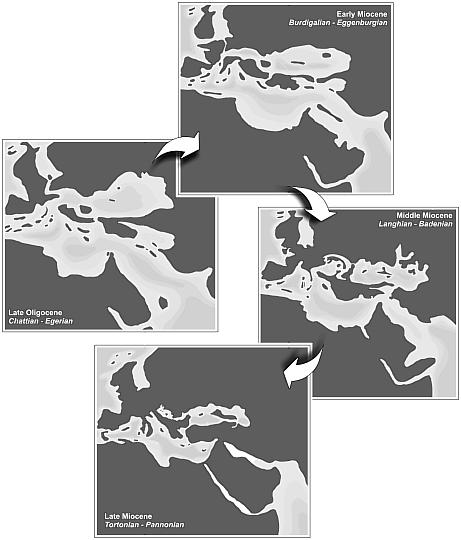 Paleogeografie části Tethydy a