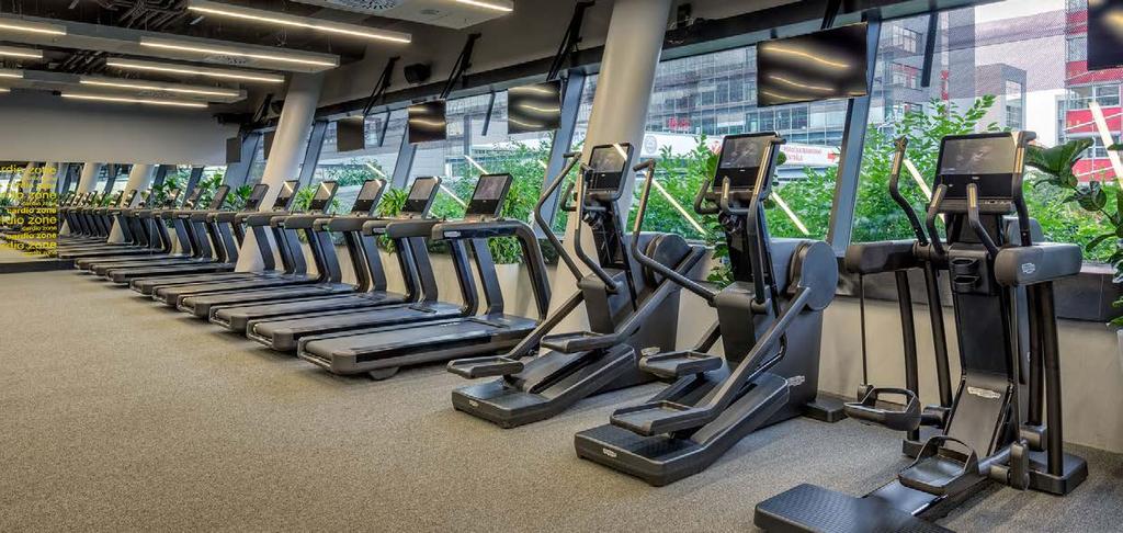 fitness