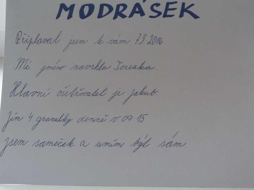 krmič Jakub