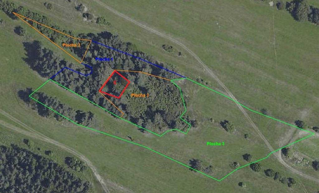 Plocha 3 (výměra cca 9 500 m 2 ) Okrajové části PP a pastviny v nově navrženém OP Popis: Travinná a vřesovištní společenstva na okrajích kompaktních porostů jalovce a navazujících plochách pastvin.