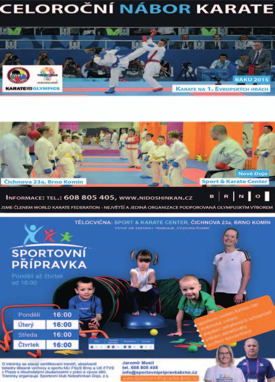 Vhodné před nástupem do školky, inspirace k domácím hrám. Cvičení SOKOLÍČEK bude probíhat v úterky a ve středy: Nabízíme: Program zdravého sportování. KDO- přednostně přijímáme chlapce 9-10 let.
