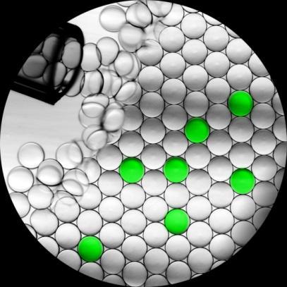 Quantify target nucleic acid by counting sample partitions