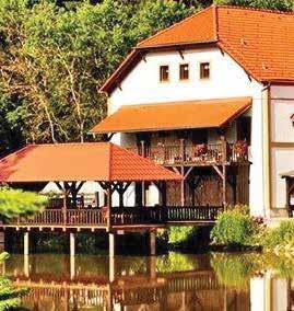 cz 56 lůžek + 5 přistýlek 28/2 pokojů a 2 apartmá PENZION VALEŠ Borovany, Budějovická 585 tel.