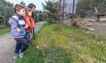 TURISTICKÉ ATRAKTIVITY ZOO DVOREC Dvorec u Borovan 17, u silnice na Trhové Sviny tel.: 734 127 693, e-mail: info@zoodvorec.