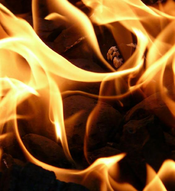 SPOTŘEBA PALIVA 35 Výroba tepelné a elektrické energie je ve společnosti Plzeňská teplárenská, a.s. založena na spalování tuzemského paliva.