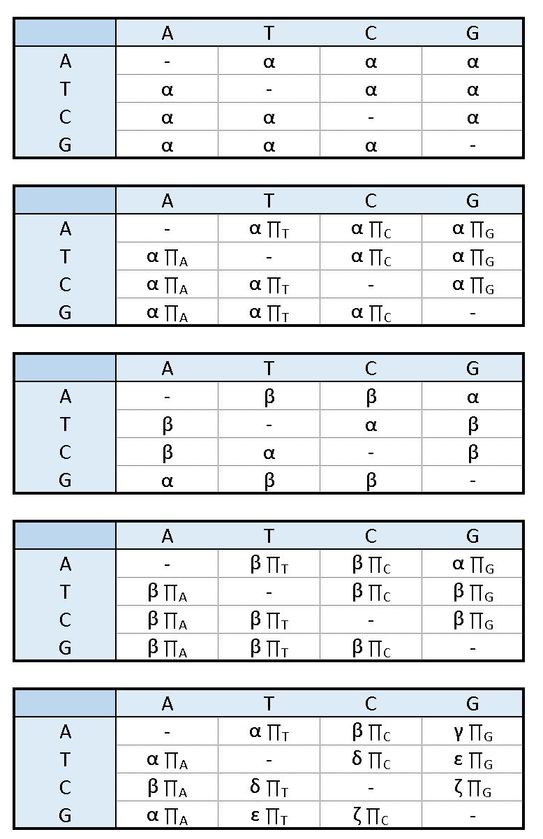 Substituční modely Jukes-Cantor (JC69): během evoluce mají všechny nukleotidy stejnou pravděpodobnost substitucí i stejnou frekvenci výskytu bází (nst=1) Felsenstein (F81): nukleotidy mají stejnou