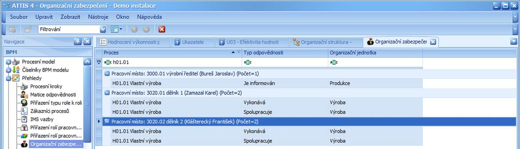 Obr. pohled pro navigační položku Organizační zabezpečení využívající