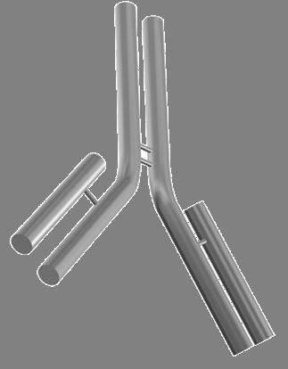 BrdU Br Br Non-radioactive Multiplex compatible but, strand