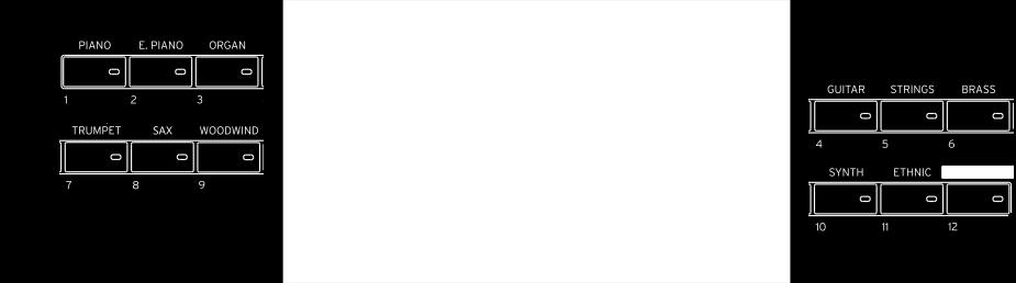 rozšířit tak interní databázi za chodu. Zvolený song je indikován blikáním v Set Listu [2.