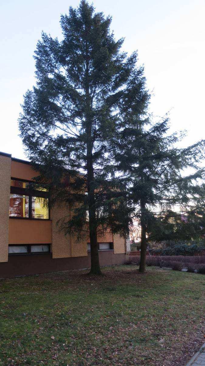 se