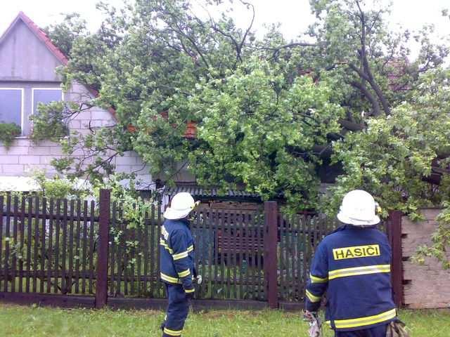 nákazy) 44 UNL únik pevné látky 54 TH ostatní pomoc PP Planý poplach 45 UNL únik ostatní (včetně jiné než chemické) 81 Planý poplach 41 42 43 44 45 41-45 51 52 53 54 51-54 61 71 81 CELKEM UDÁLOSTÍ