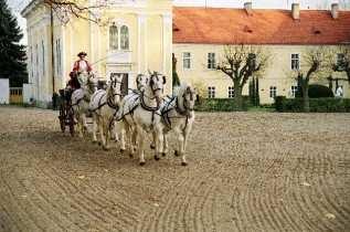 Jako turistická vyhlídka je vyhledávána zřícenina hradu Oheb. Jižní části kraje vévodí hrad Rychmburk.