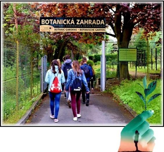 Botanická soutěž, která se konala v pátek 17. května 2019, byla poslední z přírodovědných soutěží pořádaných v rakovnické botanické zahradě v tomto školním roce.