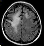focus18445f4.jpg https://www.researchgate.