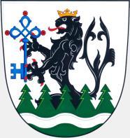 Petrov nad Desnou Název je odvozen od rychtáře Petra, zmiňovaného roku 1391. Ale již v roce 1354 propůjčil moravský markrabě výsady místní rychtě. Petrov měl v minulosti různé názvy, např.