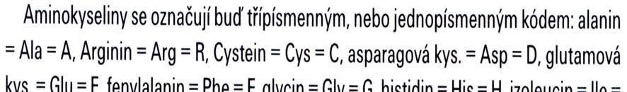5 STRUKTURA PEPTIDOVÉHO ŘETĚZCE AK v molekule bílkovin navzájem