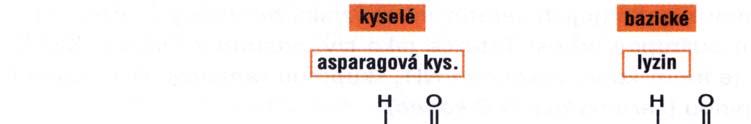 7 Některé AK zakončené na postranních řetězcích hydrofobními skupinami, např. -CH3, jsou-li v převaze, určují hydrofobní charakter bílkovinné molekuly X Přítomnost AK s hydrofilními skupinami, např.