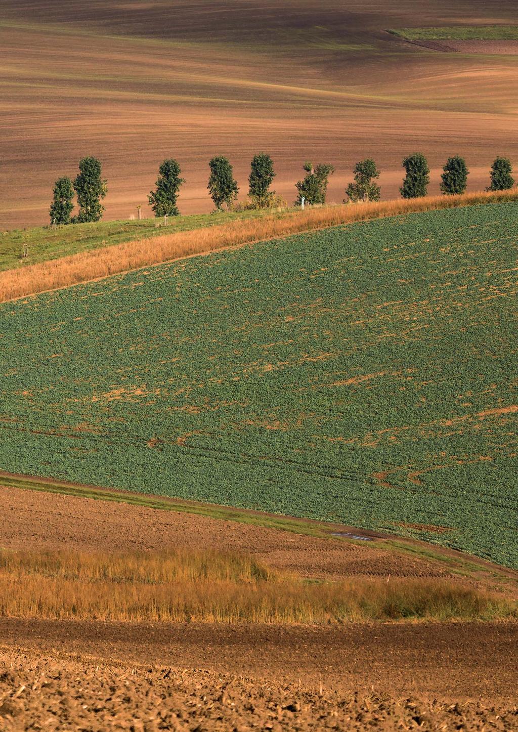 Vydalo Ministerstvo zemědělství Těšnov 17, 110 00