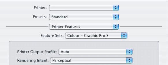 11. Z nabídky [Sady funkcí] vyberte možnost [Barva Profesionální grafika 3] (10). 10 11 12. Z nabídky [Výstupní profil tiskárny] (11) vyberte profil své tiskárny.