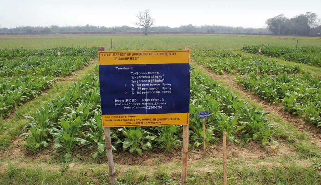 Vliv zinku a bóru na a kvalitu cukrové řepy Effect of Zinc and Boron on Yield and Quality of Sugar Beet Atiya Sharmin Mitu, Md. Rais Uddin Rashed, Gazi Md.