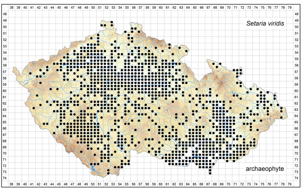 Distribution of Setaria viridis in the Czech Republic Author of the map: Jindřich Chrtek Map produced on: 26-10-2018 Database records used for producing the distribution map of Setaria viridis