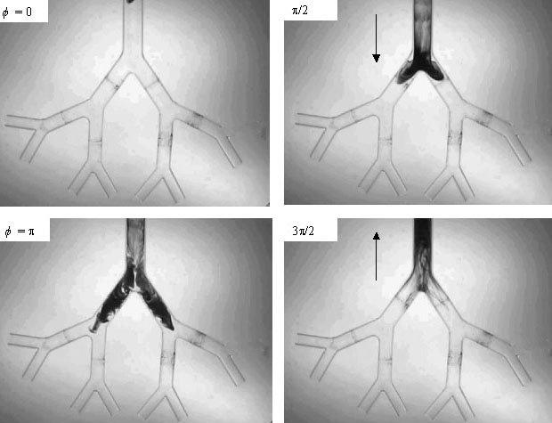 Numeriké řešeí esaioárí roie s koekí a difuzí za použií ADI meod a kompakího shémau Mila Smělý Úod Tao sudie aazuje a dříější ýzkum liu sekudárího prouděí a šířeí pasiího skaláru modelu dýhaíh es []
