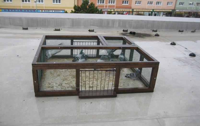 Přehled činnosti Odchyty zvířat (většinou se jedná o psy) je činnost MěPo, která vyžaduje stále větší odvahu, odbornost a zručnost, protože v některých případech se jedná o velmi agresivní plemena.
