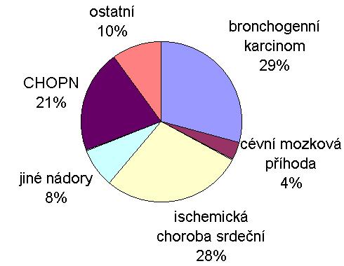 Příčiny smrti následkem kouření Přibližně 50% pravidelných kuřáků zemře na nemoci způsobené kouřením.