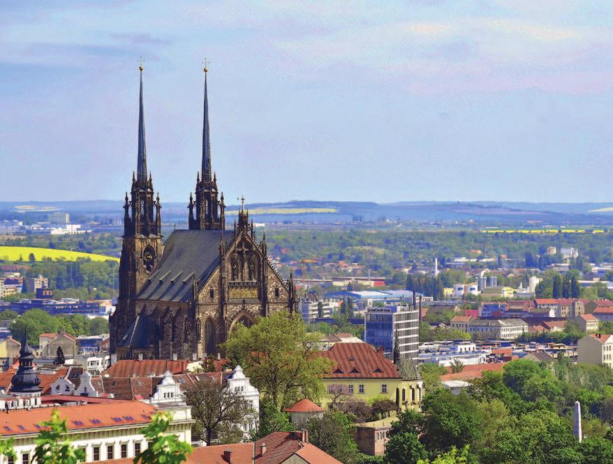 14 Další studentské organizace Brno je studentské město a nachází se tady i velké množství studentských organizací.