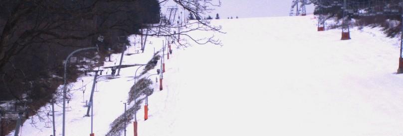 7 Metodika 7.1 Charakteristika souboru Soubor tvořilo 6 mužů (skialpinistů) ve věku 30,0 ± 5,5 let, o tělesné hmotnosti 67,8 ± 4,2 kg a tělesné výšce 174 ± 6 cm.