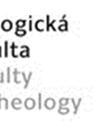 Schopnost metodicko-argumentační reflexe dané problematiky. 3. Chápání aktuálních výzev lidsky důstojné praxe v současné společenskéé situaci.