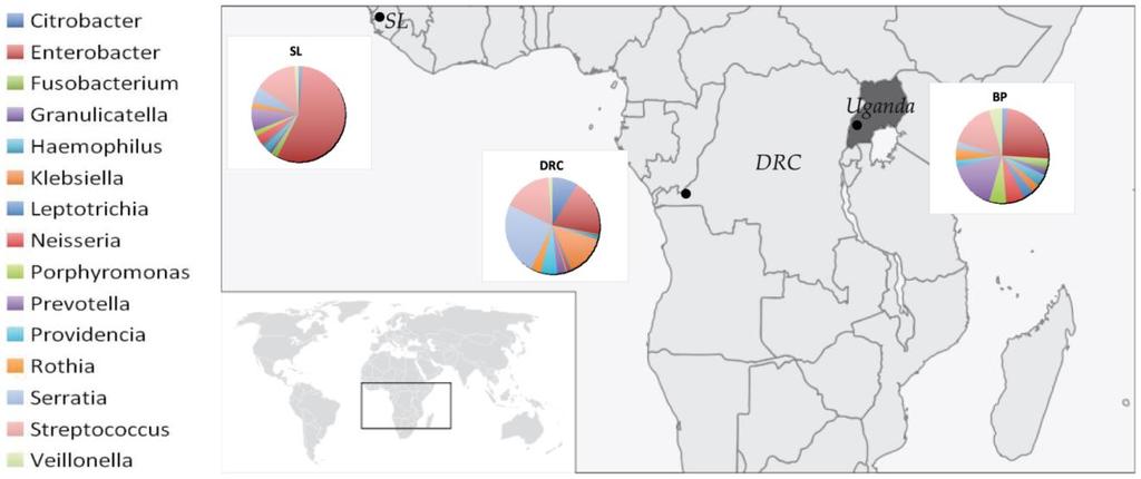 Batwa je vyšší než u obyvatel Demokratické republiky Konga a Sierra Leone (Obr. 4).