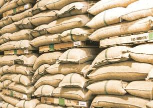 brasiliana caffè 4 Hlavné mesto kávy Město zasvěcené kultuře kvalitní kávy Může to být nápoj, anebo důvod k tomu, abychom se sešli s přáteli?