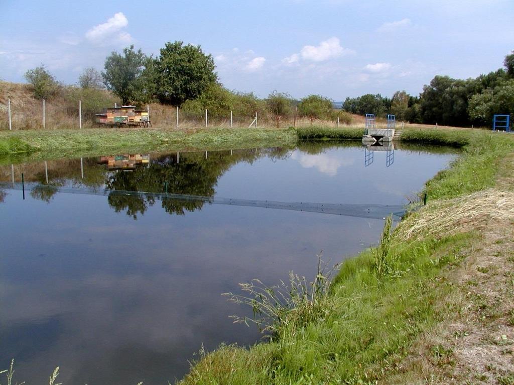 stěna s řasovými nárosty