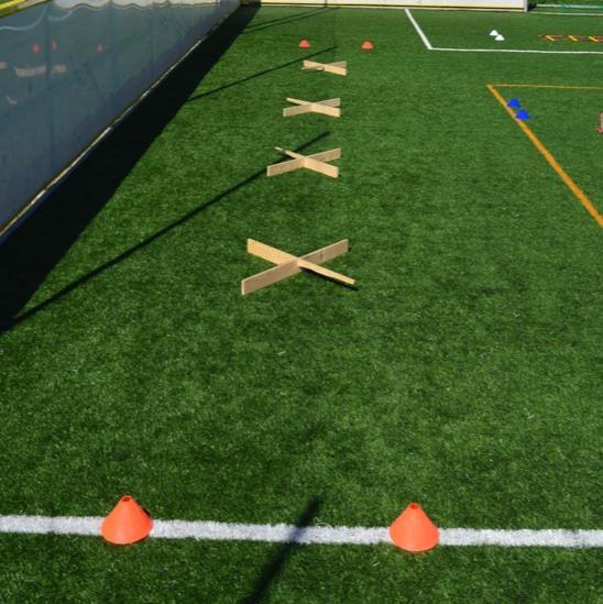 3. Běh přes agility cross Změna směru a pohybu napomáhá rozvoji koordinace pohybu. Základní pomůcka pro agility trénink má tvar kříže.