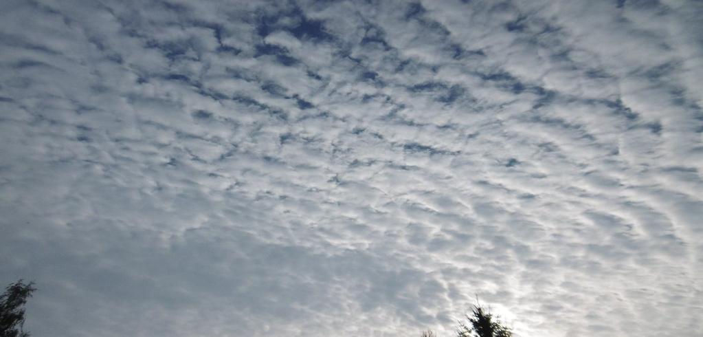 Altocumulus hezky uspořádán