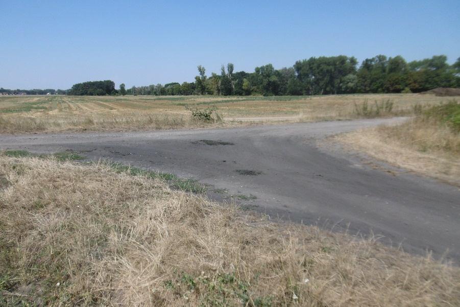 Střední Polabí Významné množství prachu a spálený travní porost u polní cesty.