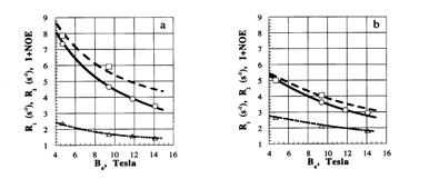 Lokální pohyblivost trisacharidu melezitosy Závislost relaxačních rychlostí a NE pro 13 C jádra cukerných kruhů (R 1 = 1/T 1, R = 1/T ) na magnetickém poli B 0 při teplotách 303 K (a) a 33 K (b).