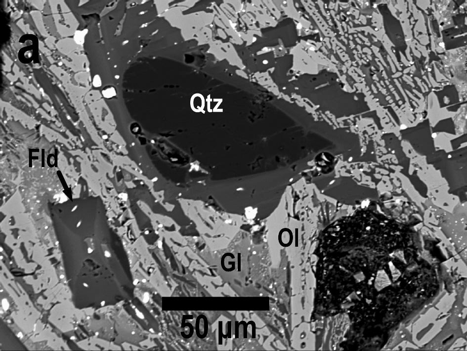 univerzity a České geologické služby. Bodové analýzy olivínů a skla byly provedeny za následujících podmínek: urychlovací napětí 15 kev, proud 10 na a průměr svazku 3 μm.