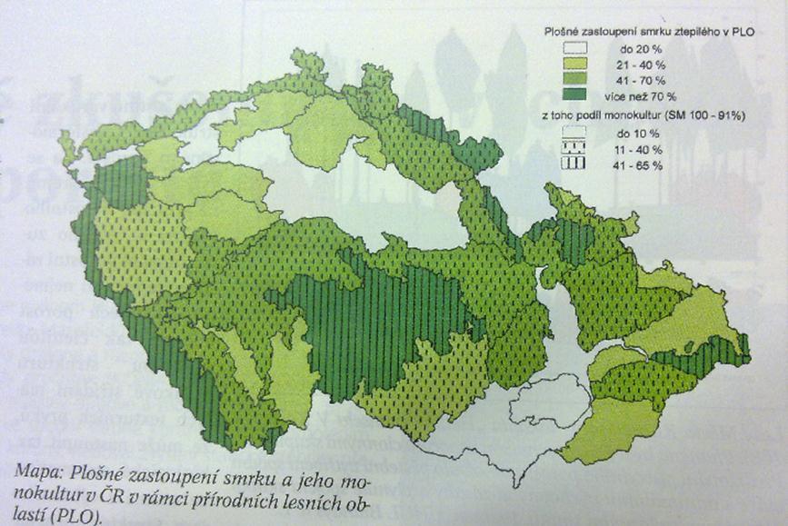 republiky (RUSHFORT (2006) se domnívá, že kromě Velké Británie a Španělska, roste smrk po celé Evropě.
