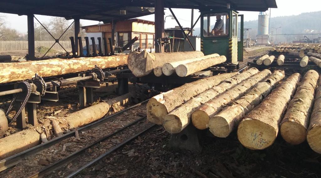 Obr. 8: Třídění výřezů do skládek pomocí kolejového vozíku (Sommer 2015) 5.1.5 Skladování výřezů Výřezy jsou na pile v Tetčicích skladovány na kolejnicových skládkách (Obr. 10).